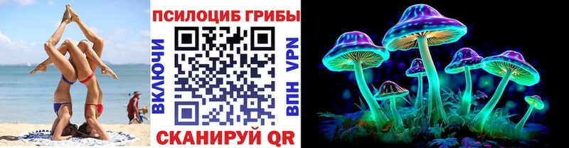 даркнет сайт  Нижнекамск  Псилоцибиновые грибы Magic Shrooms 