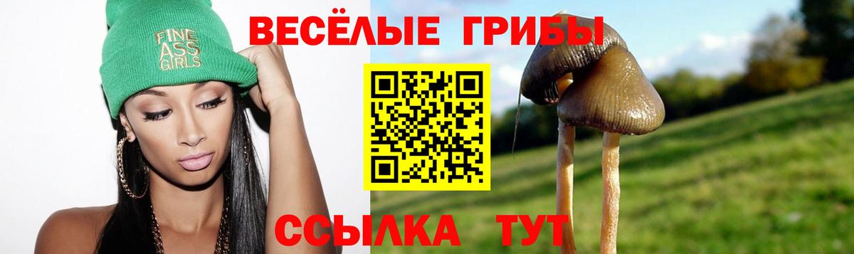 Галлюциногенные грибы мухоморы Нижнекамск